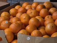 Samsung Galaxy S26 Ultra