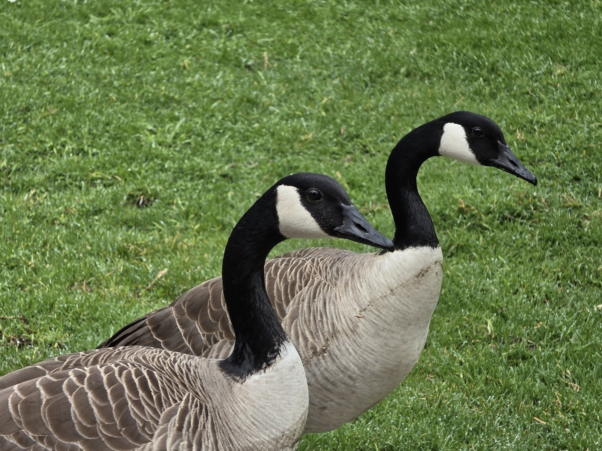 Samsung Galaxy S26 Ultra