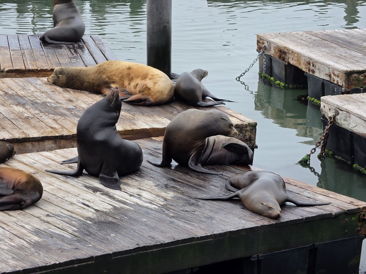 Samsung Galaxy S26 Ultra