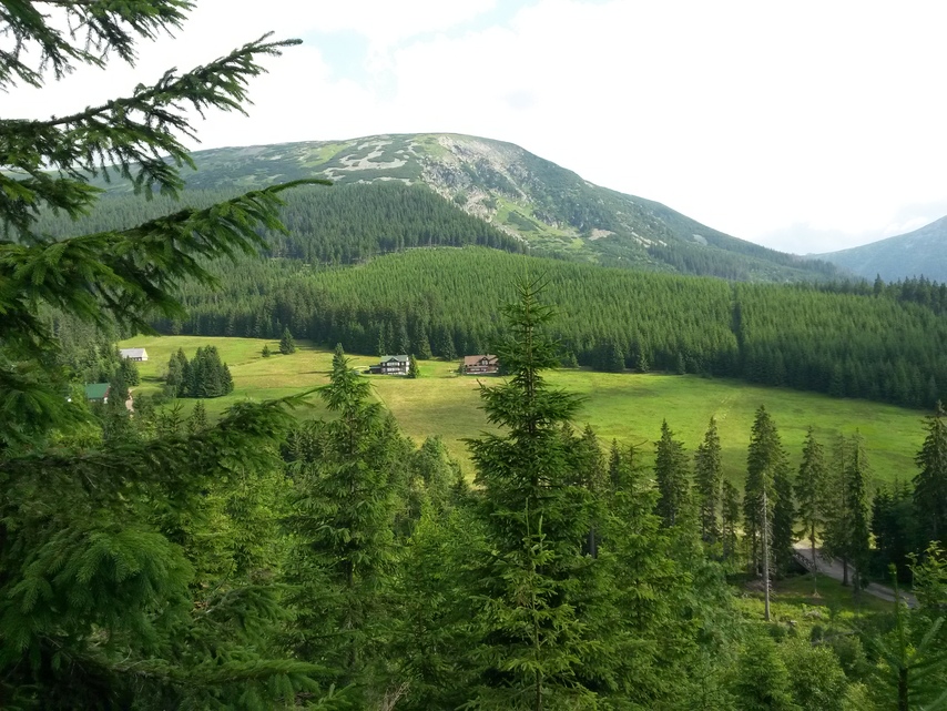 Samsung Galaxy S4 mini