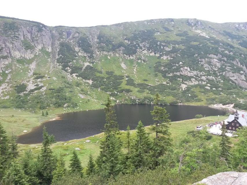 Samsung Galaxy S4 mini