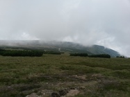 Samsung Galaxy S4 mini