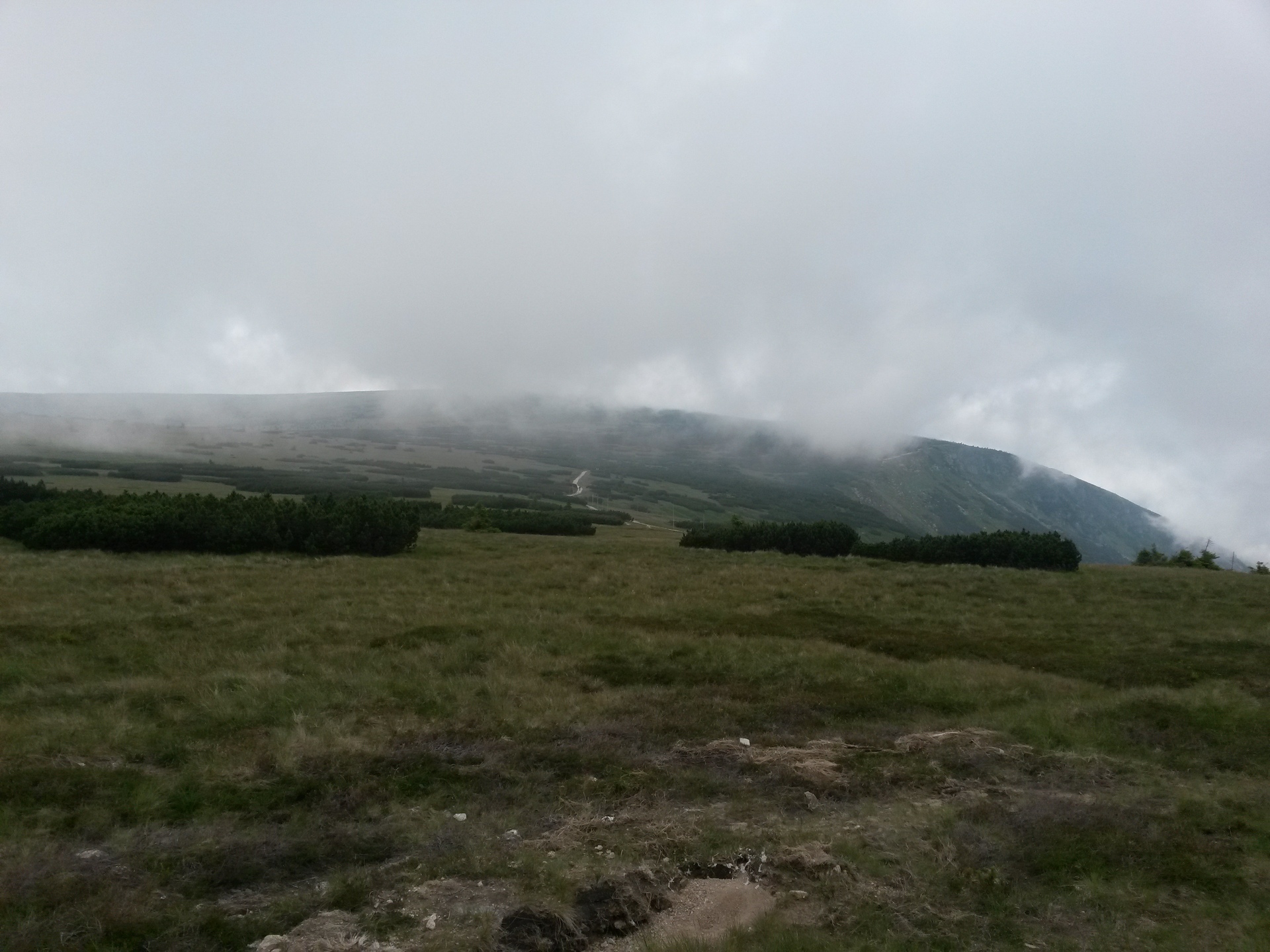 Samsung Galaxy S4 mini