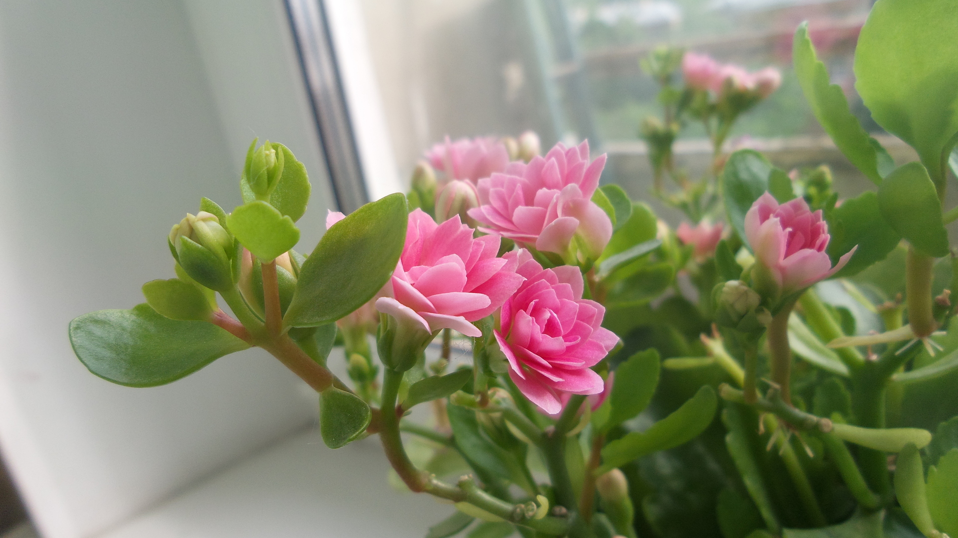 Samsung Galaxy S4 Zoom