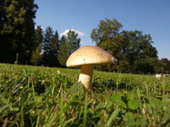 Samsung Galaxy S4 Zoom