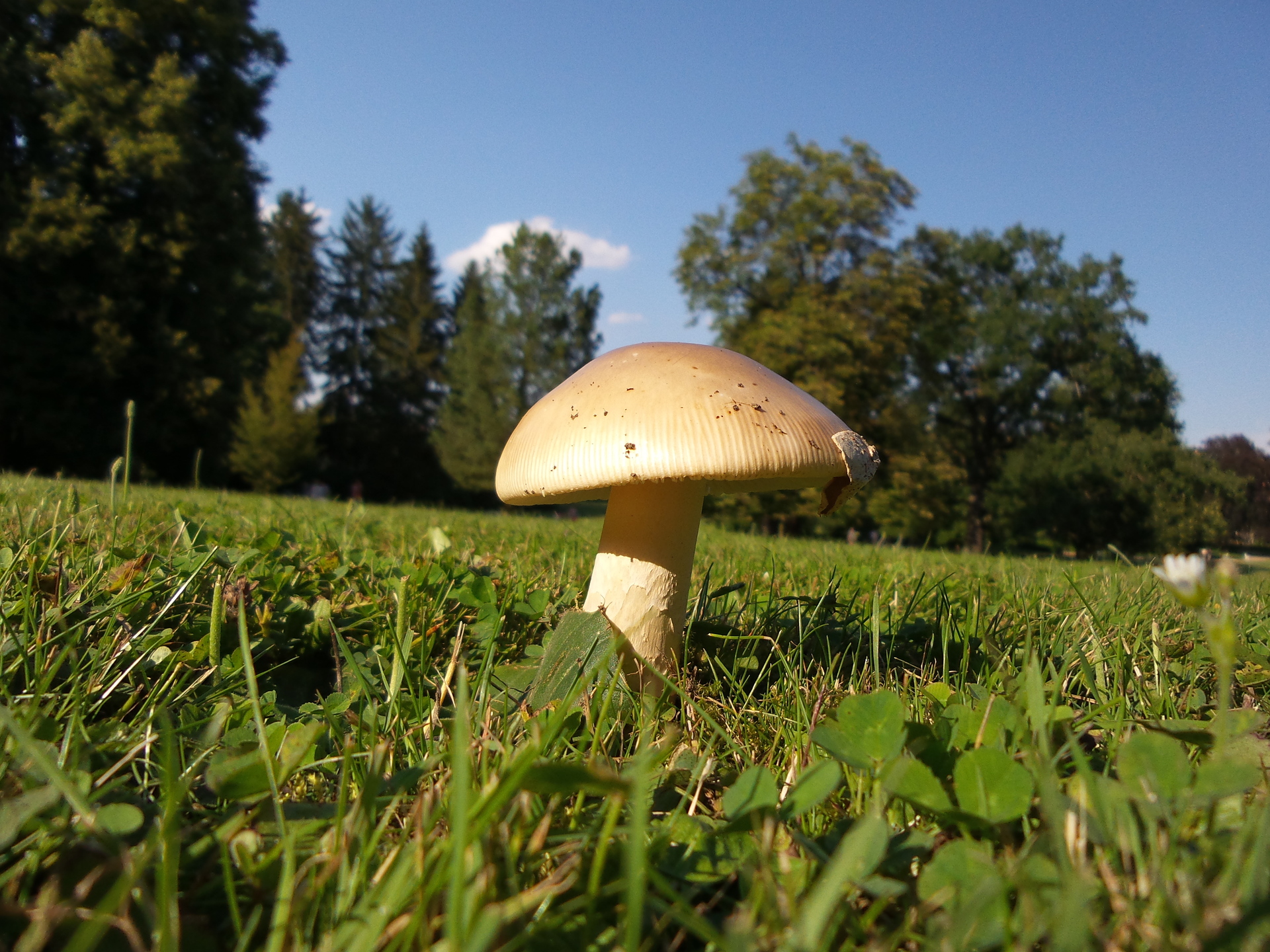 Samsung Galaxy S4 Zoom