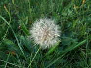 Samsung Galaxy S4 Zoom