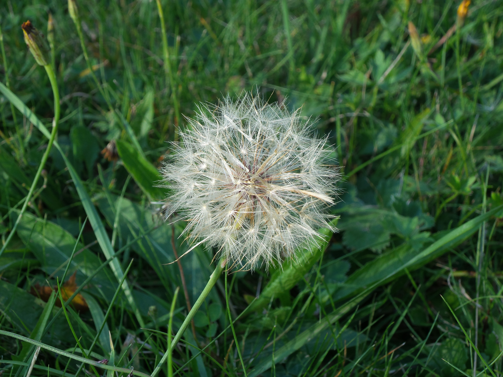 Samsung Galaxy S4 Zoom