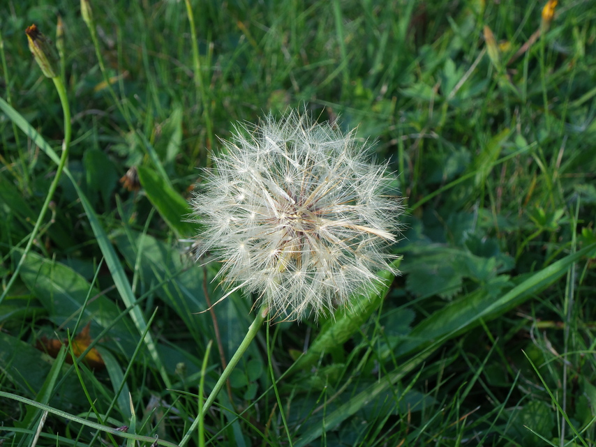 Samsung Galaxy S4 Zoom