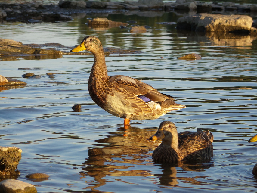 Samsung Galaxy S4 Zoom