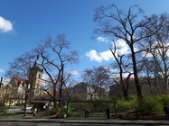 Samsung Galaxy S5 Neo