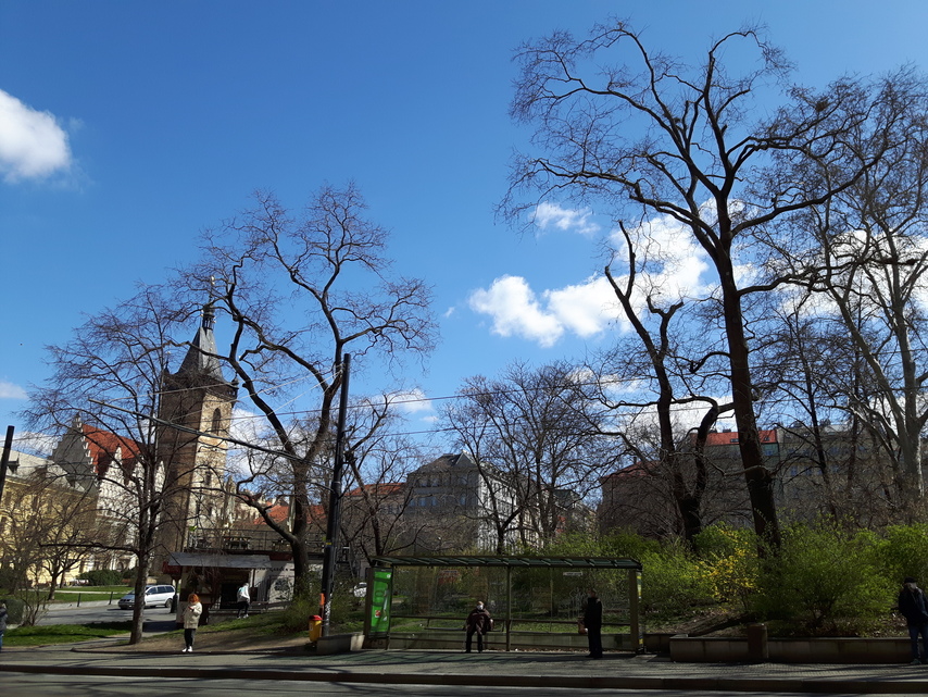 Samsung Galaxy S5 Neo