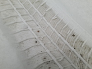 Samsung Galaxy S5 Neo