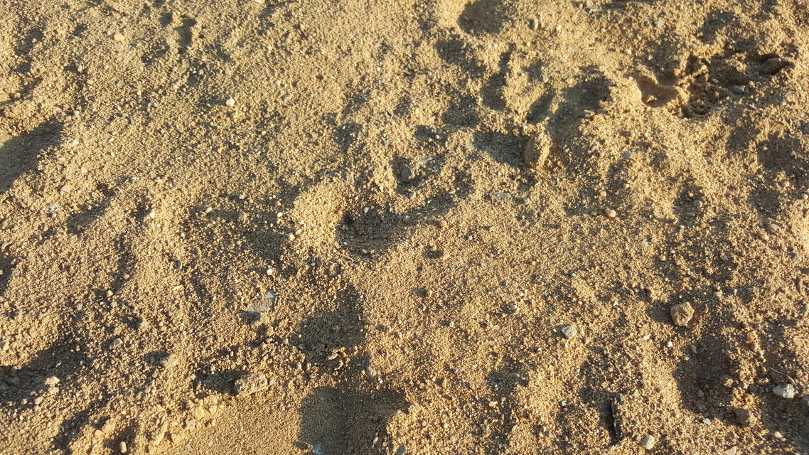 Samsung Galaxy S6 edge