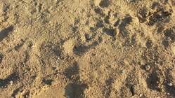 Samsung Galaxy S6 edge