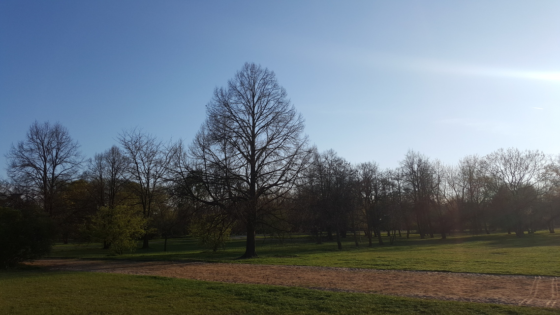 Samsung Galaxy S6 edge