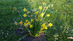 Samsung Galaxy S6 edge