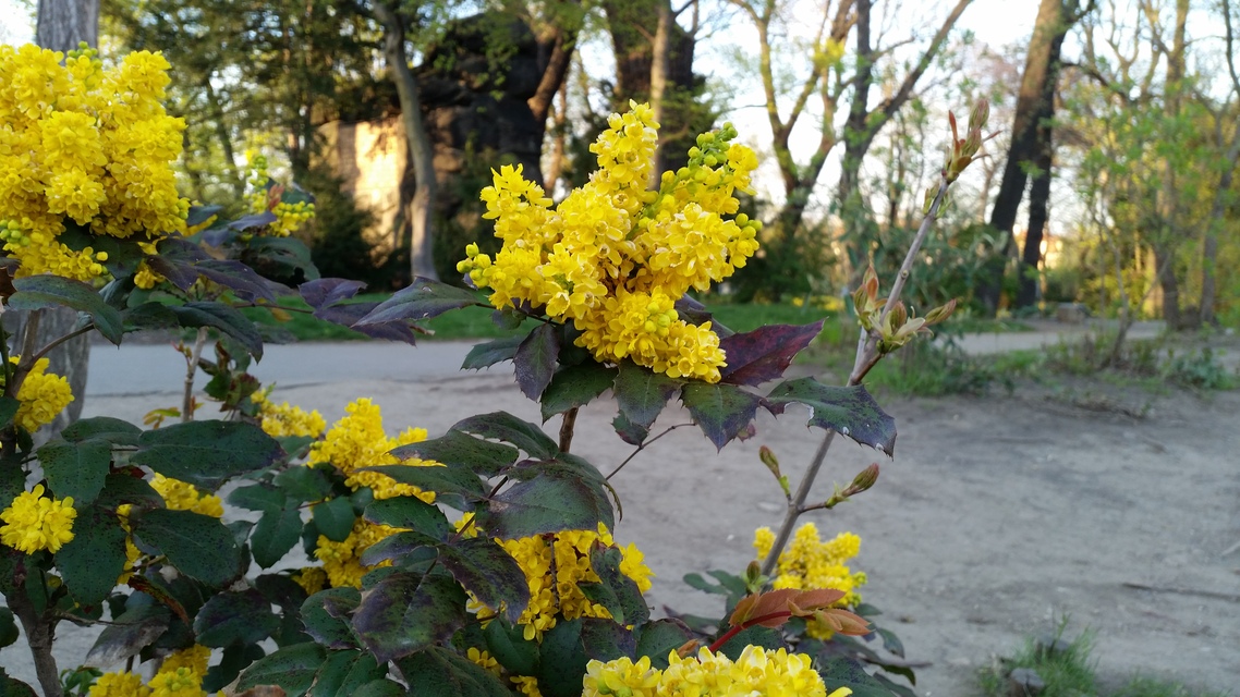 Samsung Galaxy S6 edge