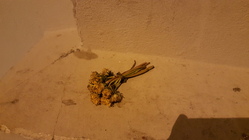 Samsung Galaxy S6 edge