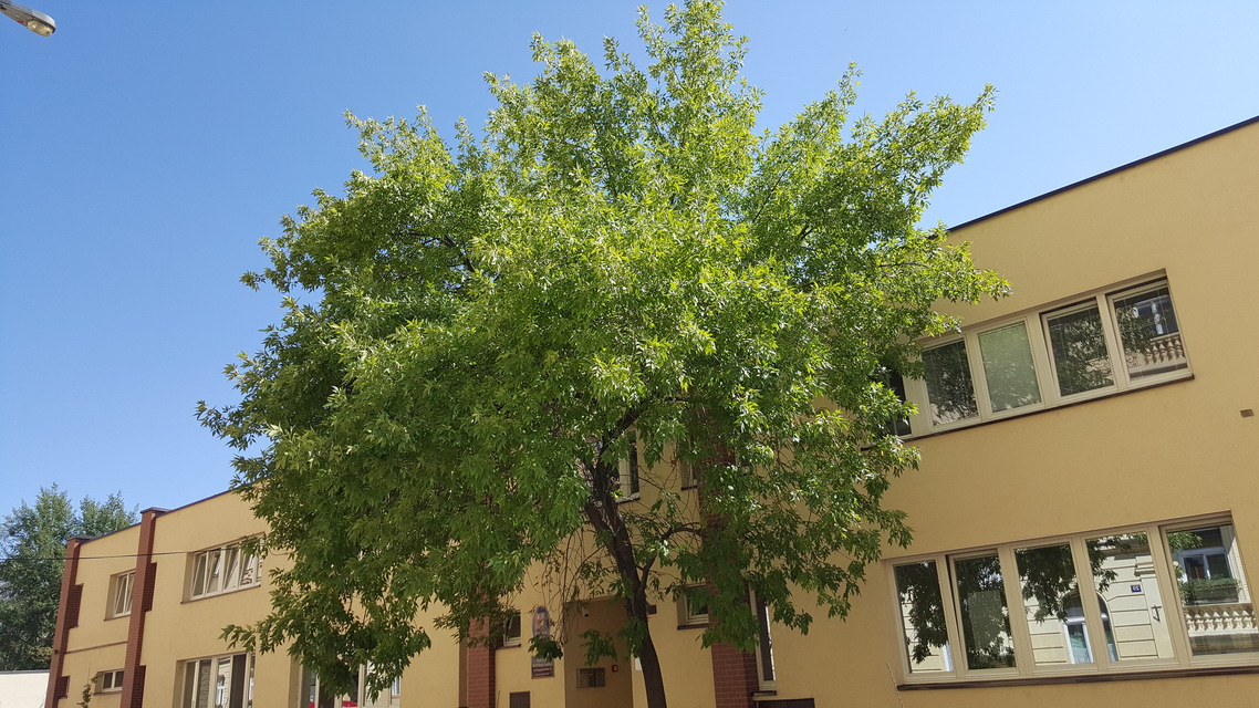 Samsung Galaxy S6 edge+