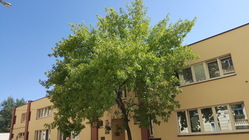 Samsung Galaxy S6 edge+