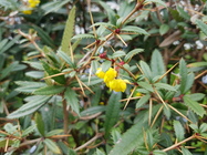 Samsung Galaxy S7 edge