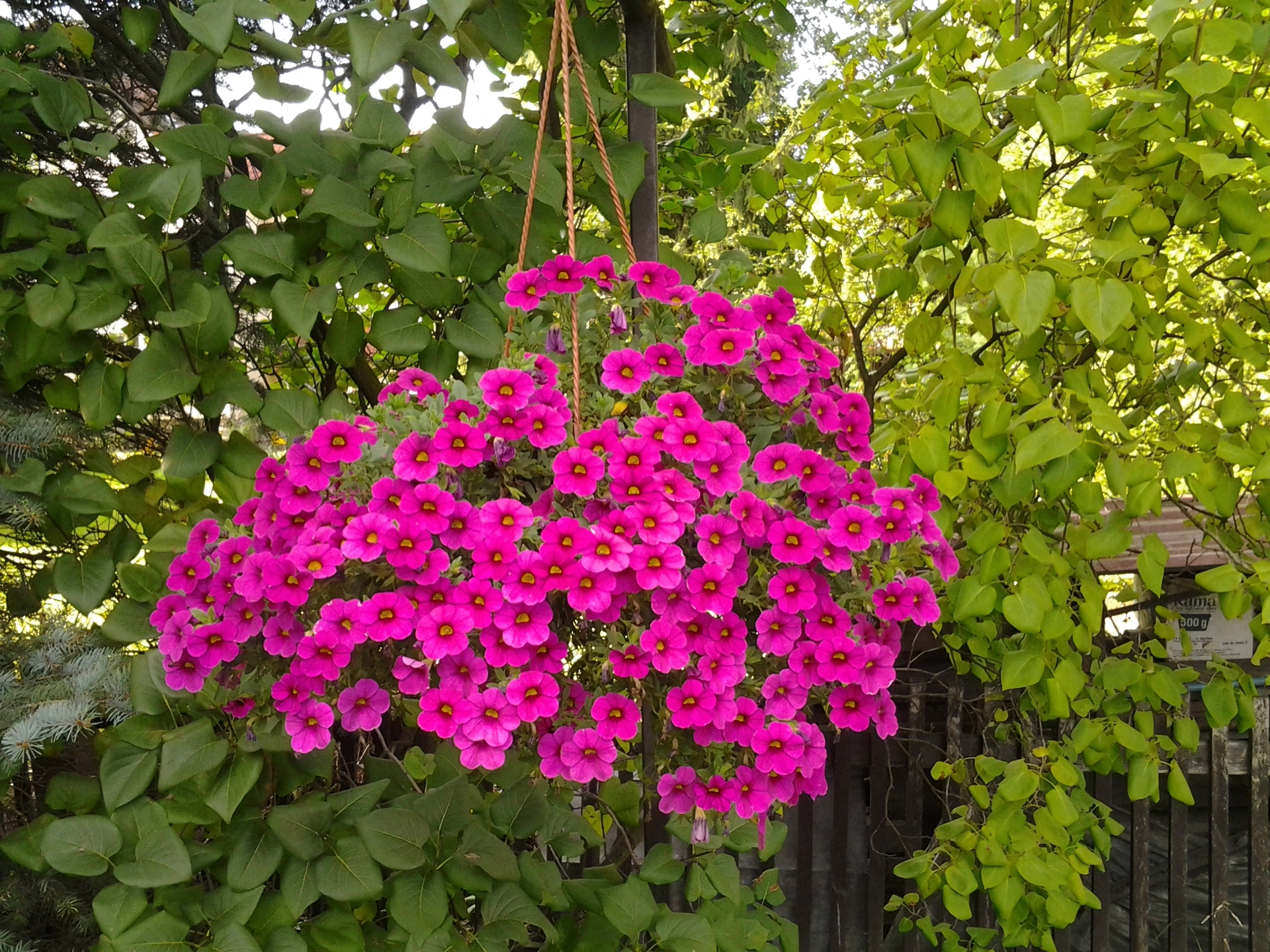 Samsung Galaxy Tab 10.1