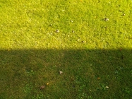 Samsung Galaxy Tab 10.1