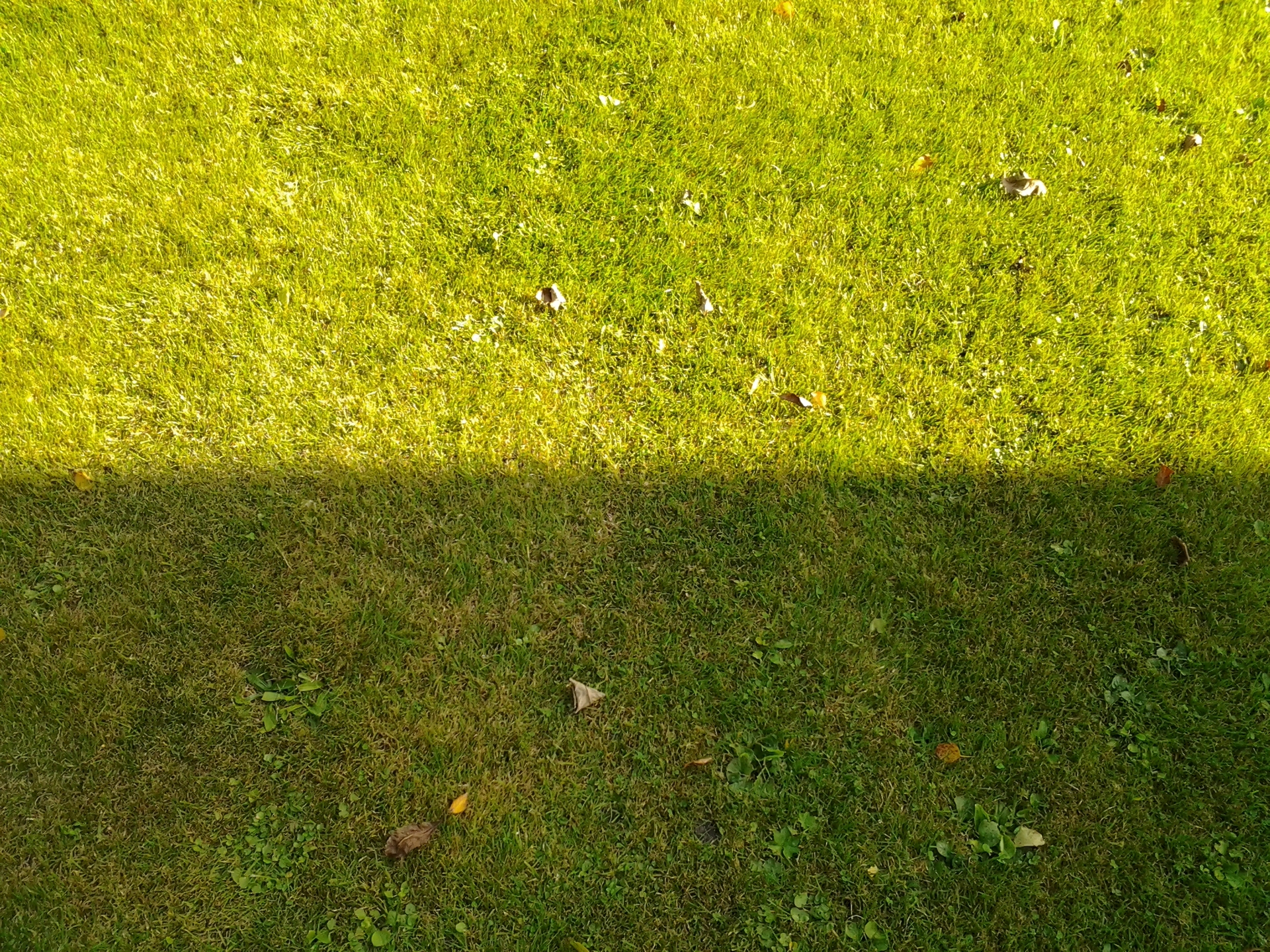 Samsung Galaxy Tab 10.1