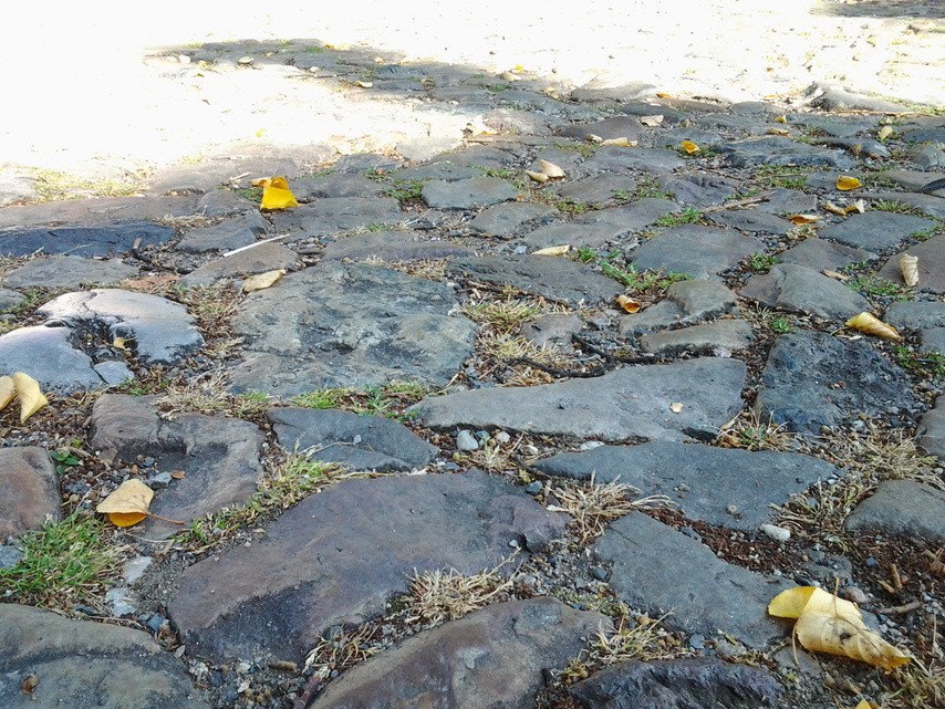 Samsung Galaxy Tab 2 (10.1)