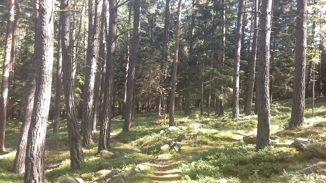 Samsung Galaxy Tab 3 (8.0)