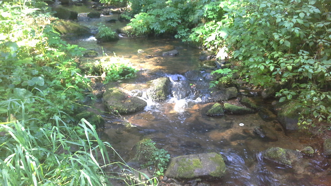 Samsung Galaxy Tab 3 (8.0)