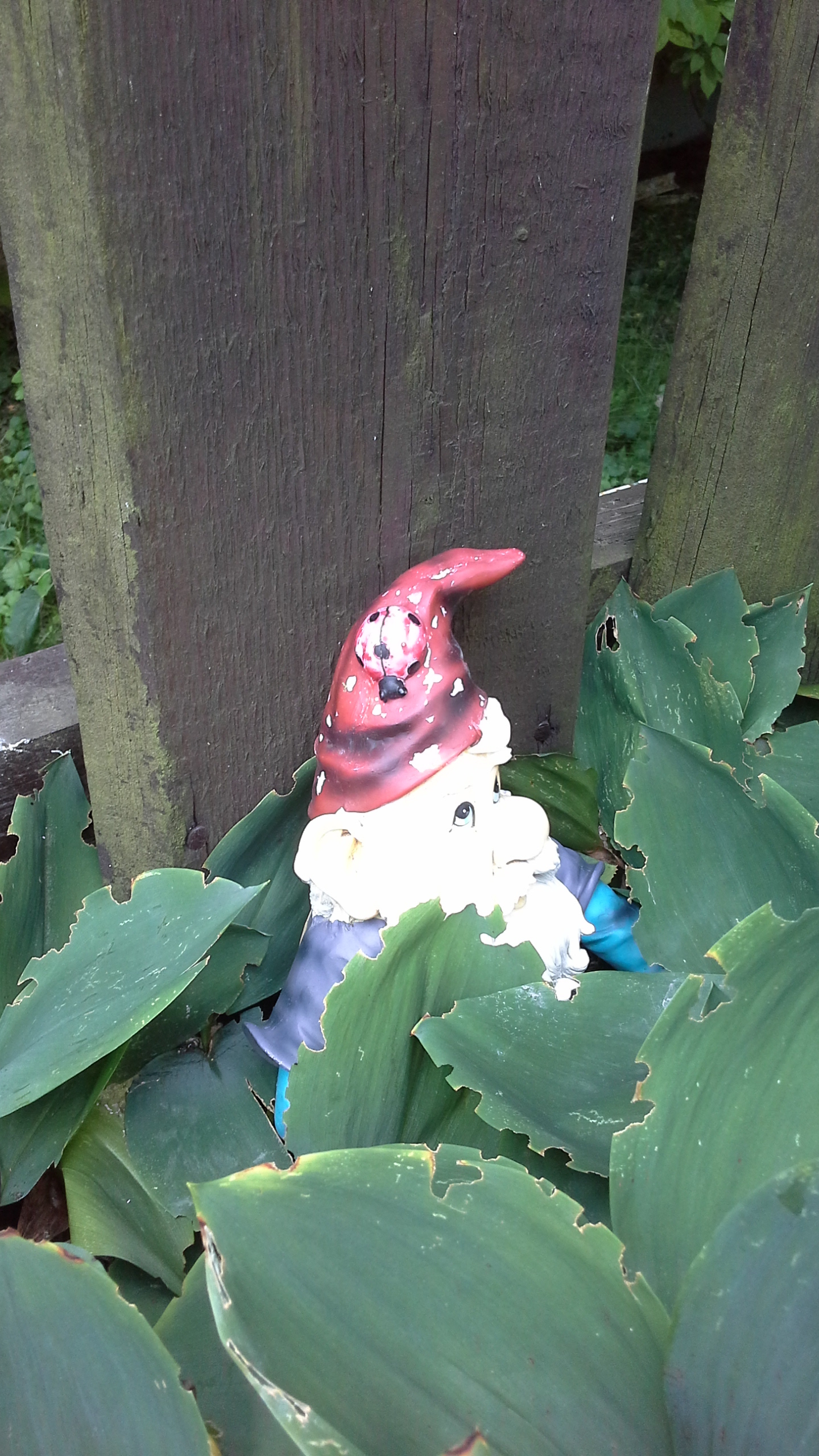 Samsung Galaxy Tab 3 (8.0)