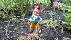 Samsung Galaxy Tab 4 8.0