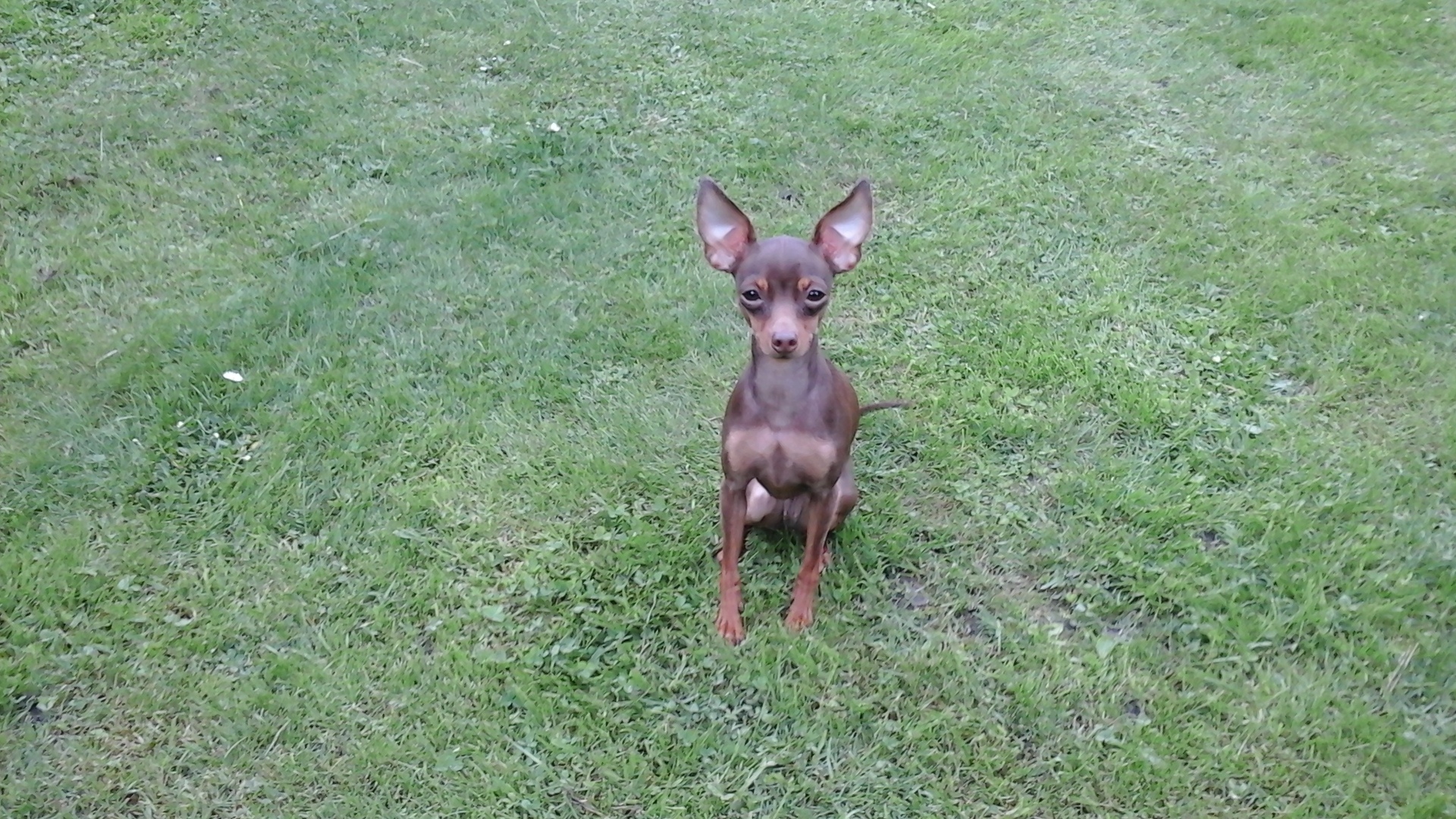 Samsung Galaxy Tab 4 8.0