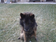 Samsung Galaxy Tab 7.0 Plus