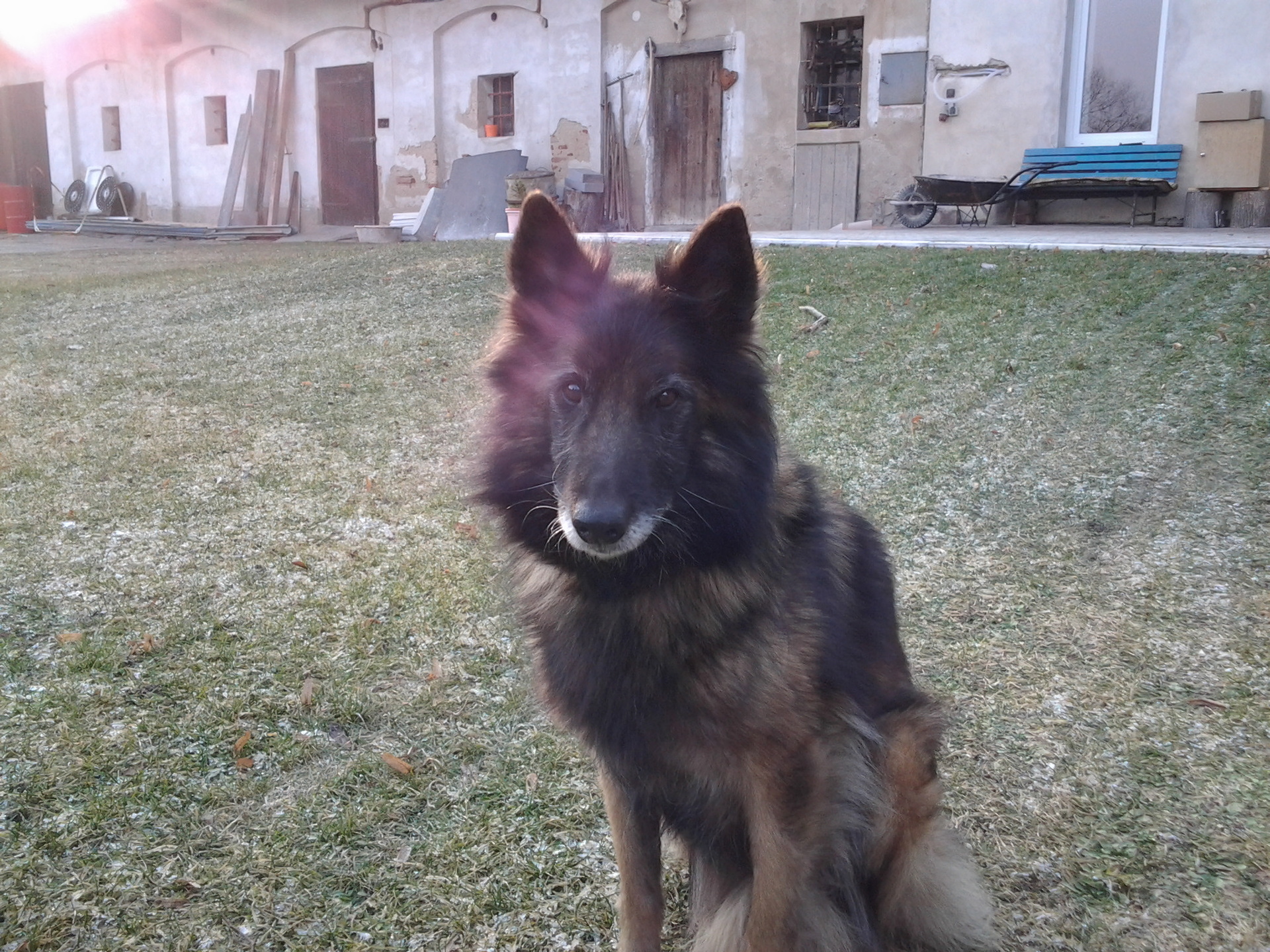 Samsung Galaxy Tab 7.0 Plus