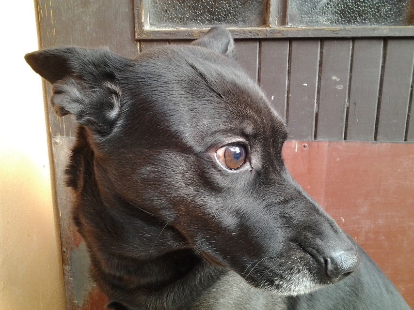 Samsung Galaxy Tab 7.7