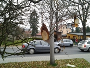 Samsung Galaxy Tab 8.9