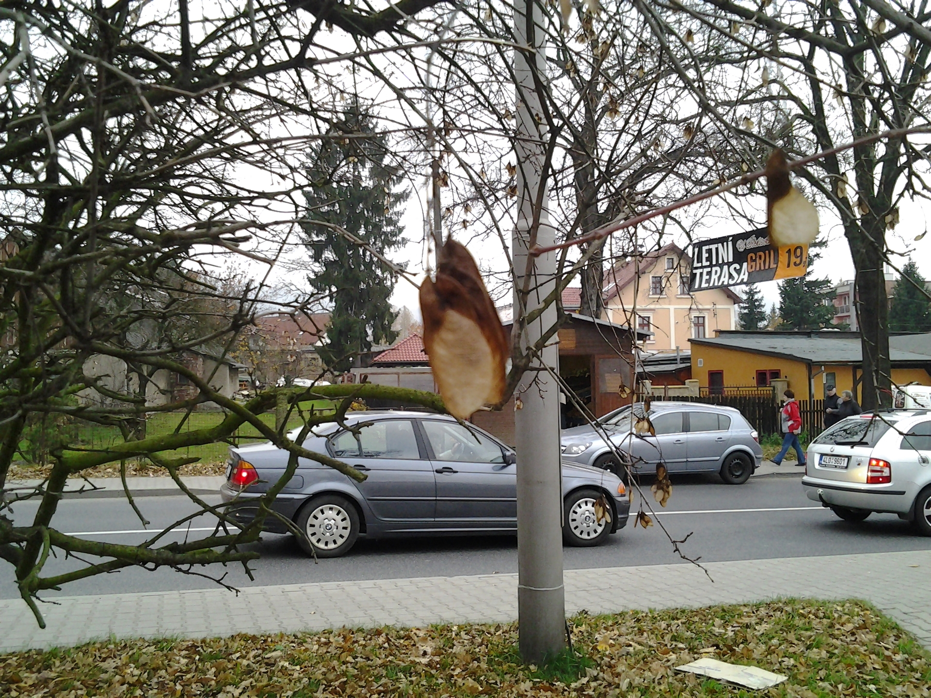 Samsung Galaxy Tab 8.9