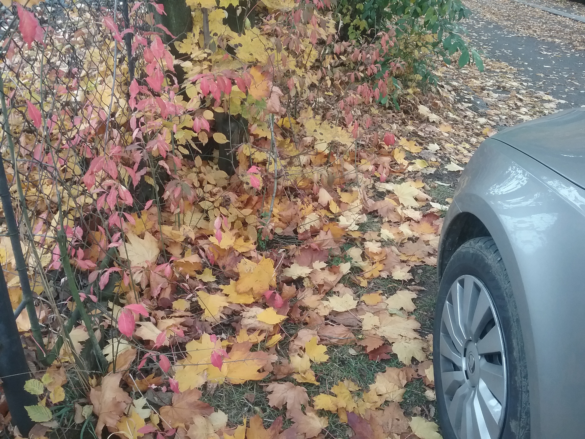 Samsung Galaxy Tab A 9.7