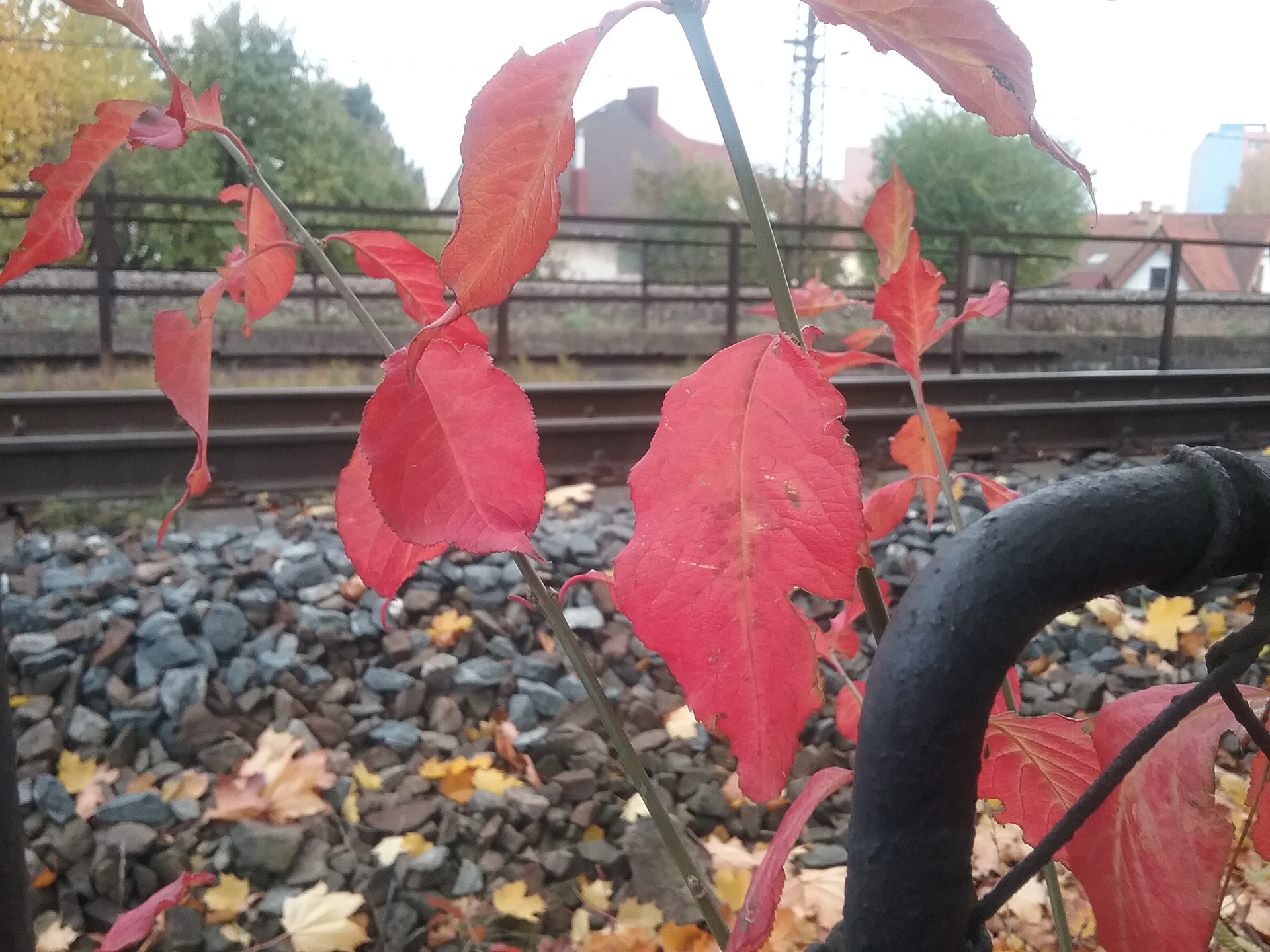 Samsung Galaxy Tab A 9.7