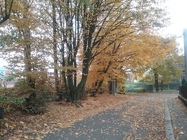 Samsung Galaxy Tab A 9.7