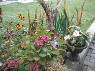 Samsung Galaxy Tab A 9.7