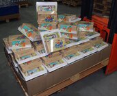 Samsung Galaxy Tab Kids