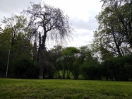 Samsung Galaxy Tab S3