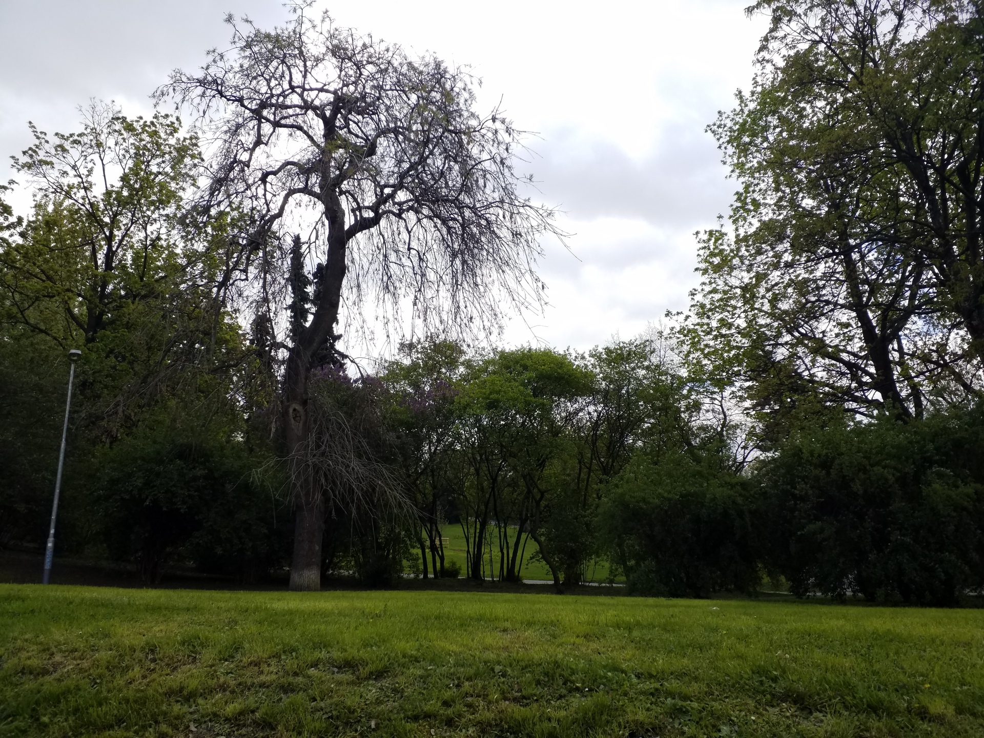 Samsung Galaxy Tab S3