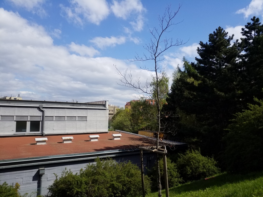 Samsung Galaxy Tab S3