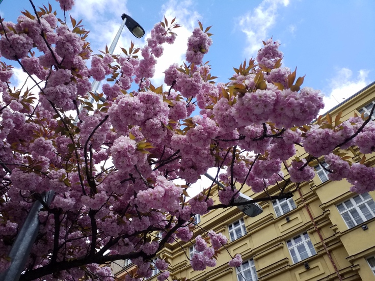 Samsung Galaxy Tab S3