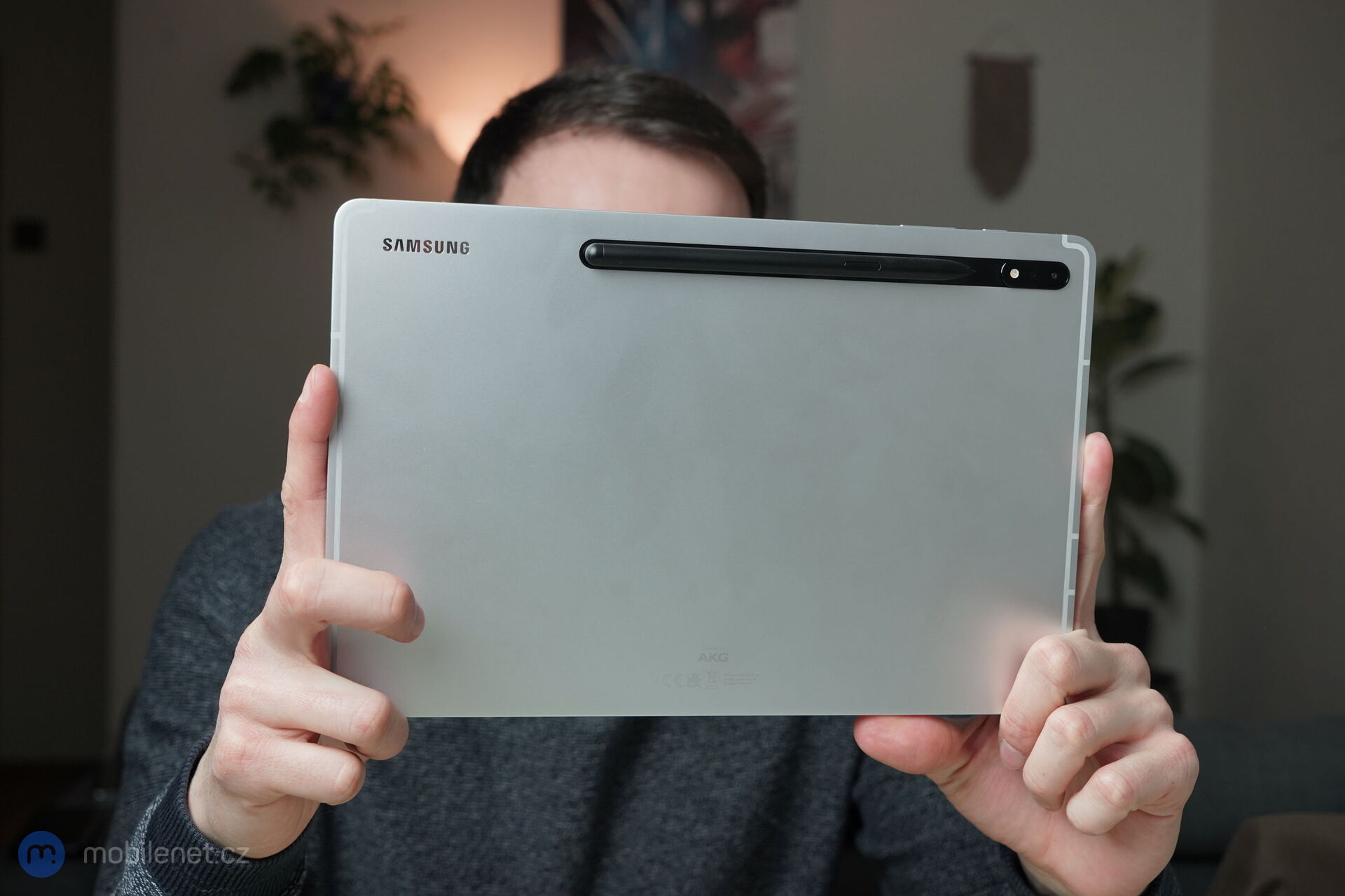 Samsung Galaxy Tab S8+